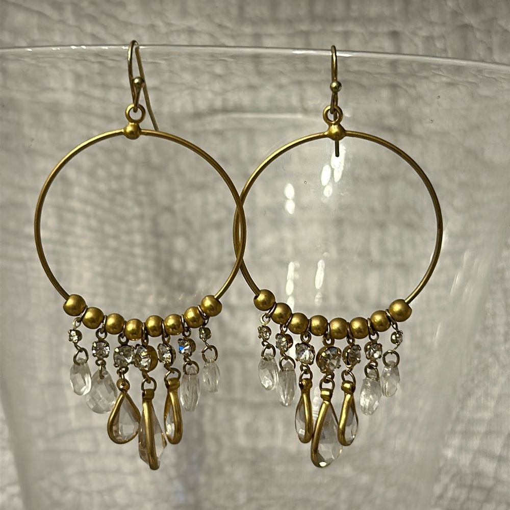 Brand New Amazing Earrings